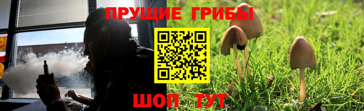 Муром  Псилоцибиновые грибы прущие грибы  где купить   Вход с VPN  Галлюциногенные грибы Cubensis 